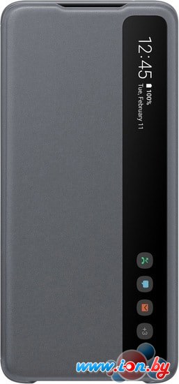 Чехол Samsung Smart Clear View Cover для Galaxy S20 Ultra (серый) в Бресте