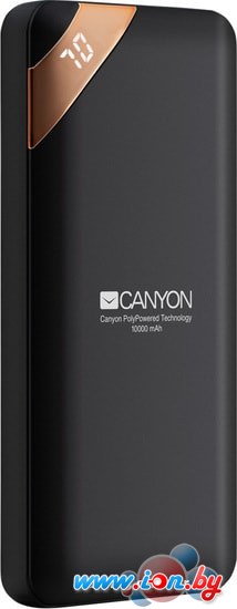 Портативное зарядное устройство Canyon CNE-CPBP10B в Гомеле