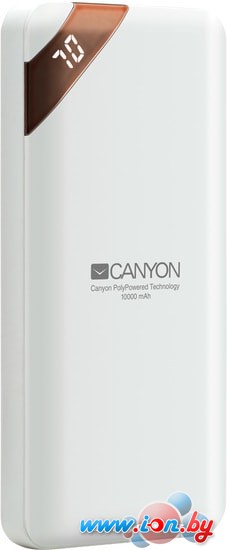 Портативное зарядное устройство Canyon CNE-CPBP10W в Бресте