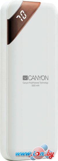 Портативное зарядное устройство Canyon CNE-CPBP5W в Гомеле