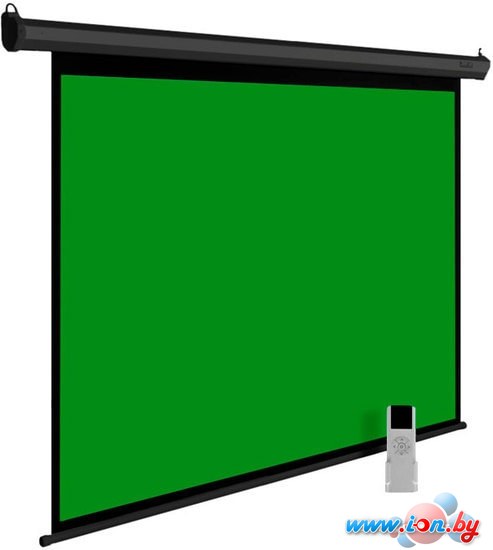 Проекционный экран CACTUS GreenMotoExpert 200x200 CS-PSGME-200X200 в Бресте