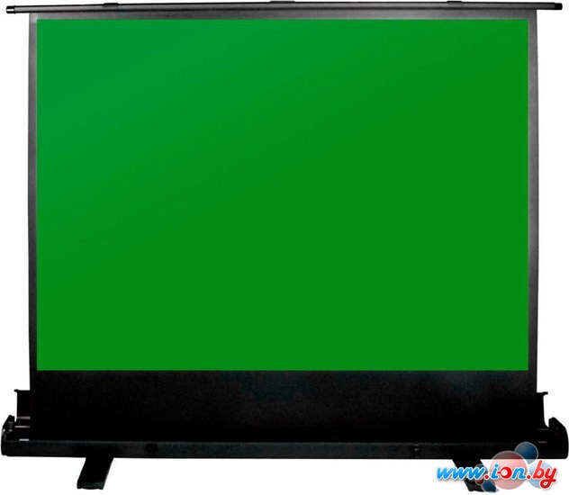 Проекционный экран CACTUS GreenFloorExpert 150х200 CS-PSGFE-200X150 в Бресте