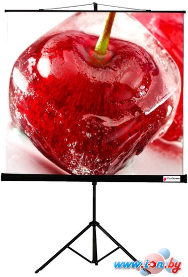 Проекционный экран ViewScreen Clamp 200x200 [TCL-1103] в Могилёве
