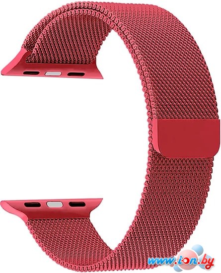 Ремешок Lyambda Capella для Apple Watch 42-44 мм (красный) в Гомеле