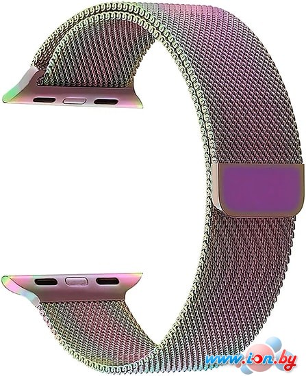 Ремешок Lyambda Capella для Apple Watch 42-44 мм (мультиколор) в Могилёве