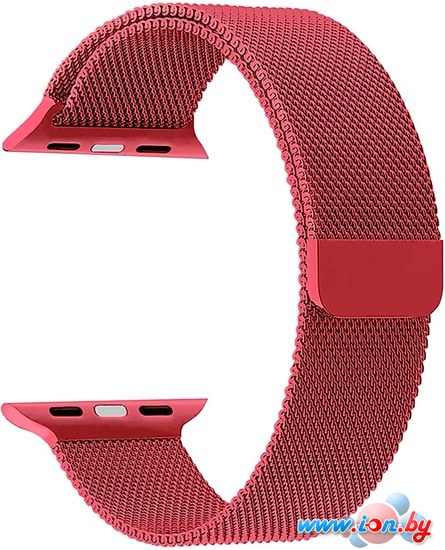 Ремешок Lyambda Capella для Apple Watch 38-40 мм (красный) в Бресте