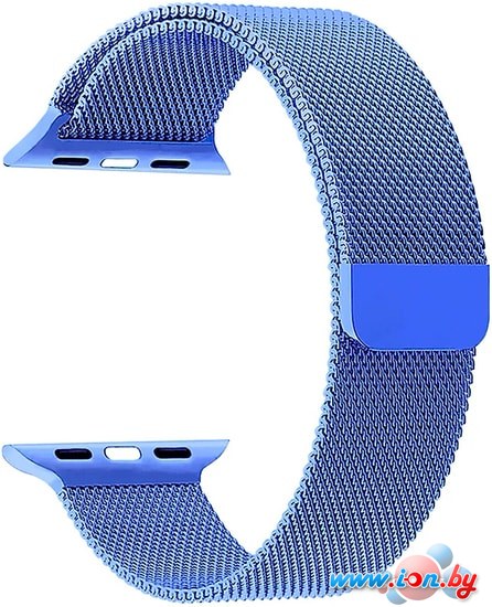 Ремешок Lyambda Capella для Apple Watch 42-44 мм (синий) в Могилёве