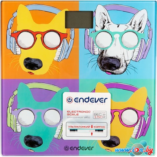 Напольные весы Endever Aurora 566 в Могилёве