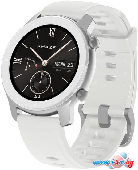 Умные часы Amazfit GTR 42мм (лунный белый) в Бресте