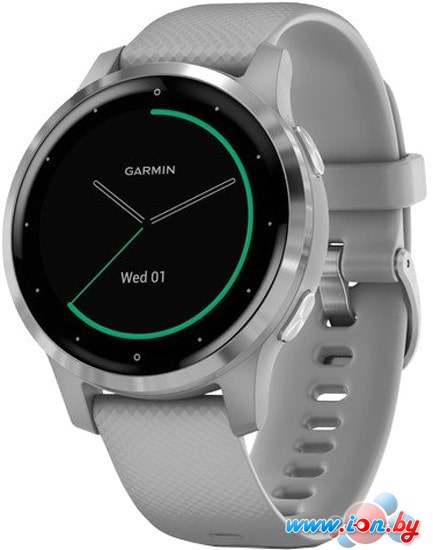 Умные часы Garmin Vivoactive 4s (серый/серебристый) в Бресте