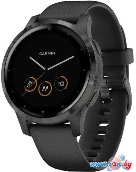 Умные часы Garmin Vivoactive 4s (черный/серый) в Бресте