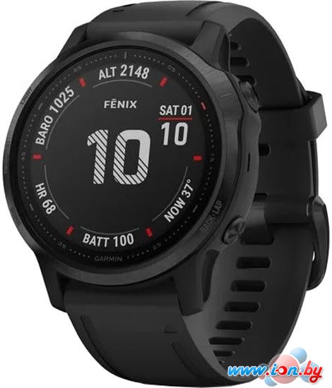 Умные часы Garmin Fenix 6s Pro (черный) в Бресте