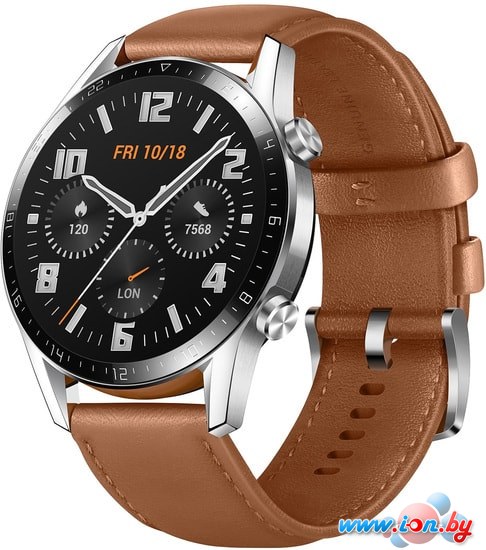Умные часы Huawei Watch GT2 Classic Edition LTN-B19 46 мм (коричневый) в Бресте