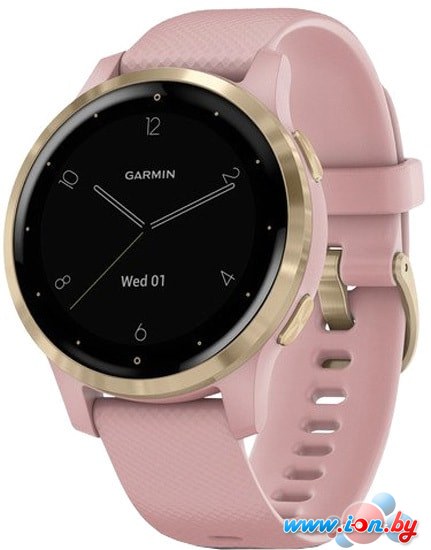 Умные часы Garmin Vivoactive 4s (розовый/золотистый) в Витебске