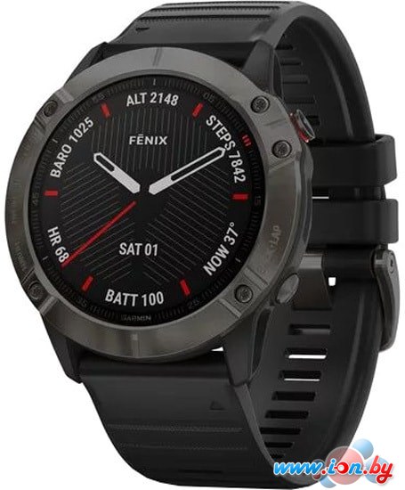 Умные часы Garmin Fenix 6X Sapphire (серый DLC/черный) в Бресте