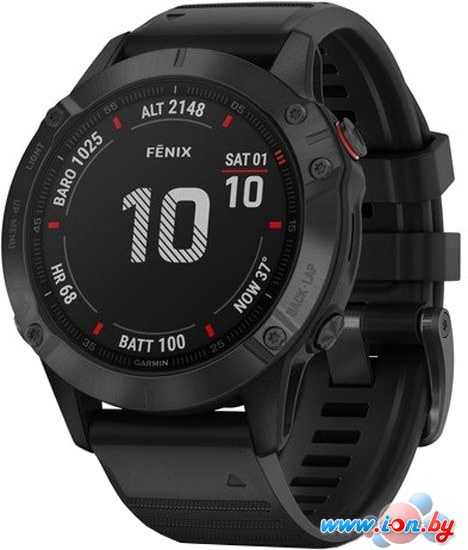 Умные часы Garmin Fenix 6 Pro (черный) в Бресте