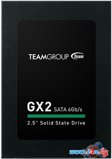 SSD Team GX2 256GB T253X2256G0C101 в Гродно