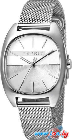 Наручные часы Esprit ES1L038M0075 в Витебске