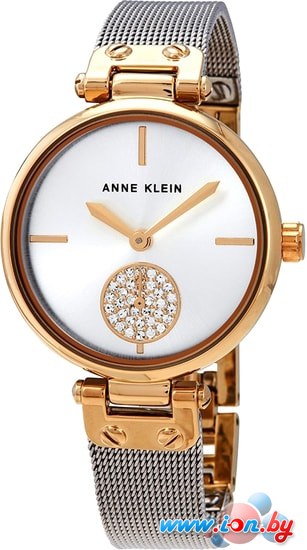 Наручные часы Anne Klein 3001SVTT в Могилёве