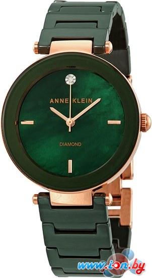 Наручные часы Anne Klein 1018RGGN в Гомеле