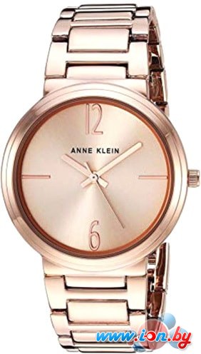 Наручные часы Anne Klein 3168RGRG в Могилёве