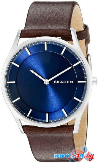 Наручные часы Skagen SKW6237 в Бресте