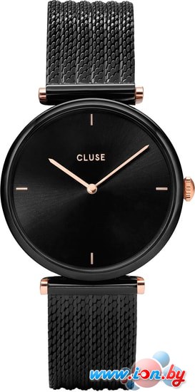 Наручные часы Cluse CW0101208004 в Бресте