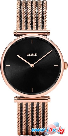 Наручные часы Cluse CW0101208005 в Бресте