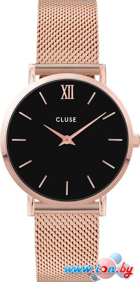Наручные часы Cluse CW0101203003 в Бресте