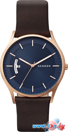 Наручные часы Skagen SKW6395 в Гомеле