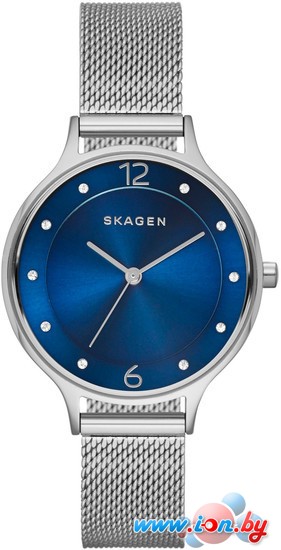 Наручные часы Skagen SKW2307 в Могилёве