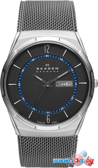 Наручные часы Skagen SKW6078 в Могилёве