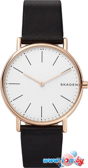 Наручные часы Skagen SKW6430 в Бресте