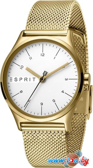Наручные часы Esprit ES1L034M0075 в Гомеле