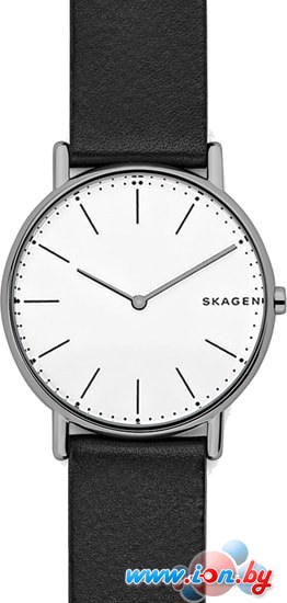 Наручные часы Skagen SKW6419 в Могилёве