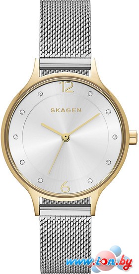 Наручные часы Skagen SKW2340 в Могилёве