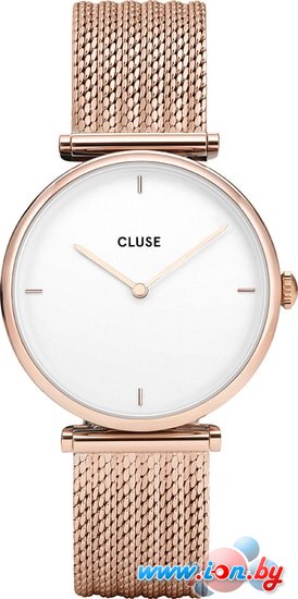 Наручные часы Cluse CG0108208001 в Бресте