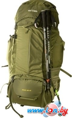 Рюкзак Tatonka Bison 90+10 (olive) в Гомеле