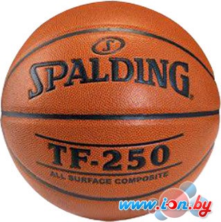 Мяч Spalding TF-250 (размер 7) в Могилёве