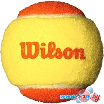 Мяч Wilson Starter Orange WRT137300 (3 шт) в Могилёве