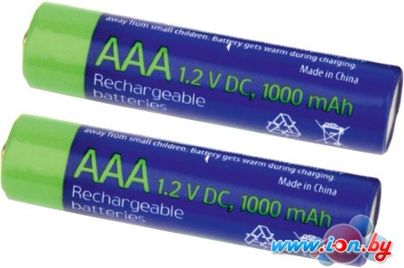 Аккумуляторы Gembird Rechargeable batteties AAA 1000 mАh 2 шт. [EG-BA-AAA10-01] в Бресте