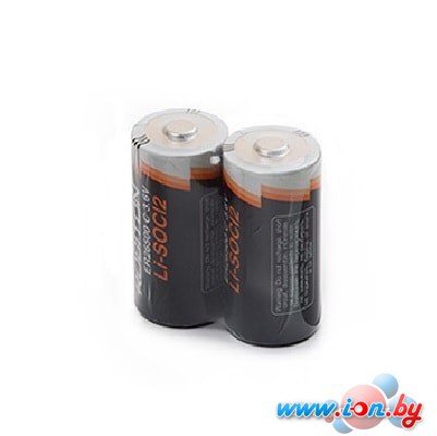 Батарейки Robiton C ER26500 2 шт. (Пленка) [ER26500-SR2] в Могилёве