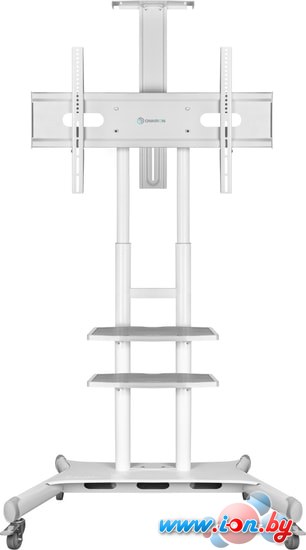 Кронштейн Onkron TS1881W (белый) в Бресте