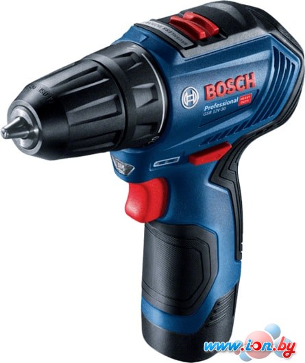 Дрель-шуруповерт Bosch GSR 12V-30 Professional 06019G9000 (с 2-мя АКБ, кейс) в Гомеле