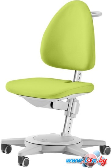 Детское ортопедическое кресло Moll Maximo Classic (серый/зеленый) в Витебске