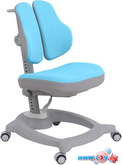 Детское ортопедическое кресло Fun Desk Diverso (голубой) в Витебске