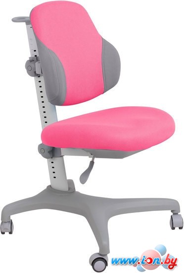 Детское ортопедическое кресло Fun Desk Inizio (розовый) в Гомеле
