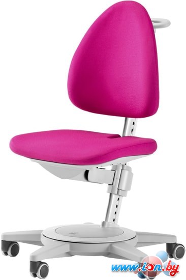Детское ортопедическое кресло Moll Maximo Classic (серый/розовый) в Витебске