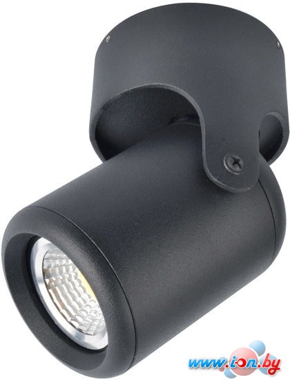 Спот Arte Lamp Libra A3316PL-1BK в Бресте