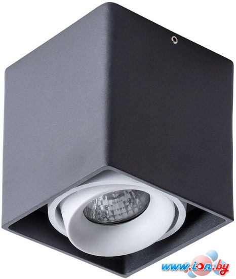 Точечный светильник Arte Lamp Pictor A5654PL-1BK в Могилёве
